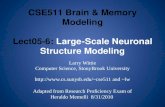 CSE511 Brain & Memory Modeling Lect05-6:  Large-Scale Neuronal Structure Modeling