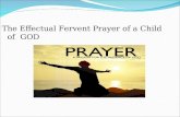 The Effectual Fervent Prayer of a Child of  GOD