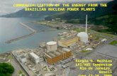 COMMERCIALIZATION OF THE ENERGY FROM THE BRAZILIAN NUCLEAR POWER PLANTS