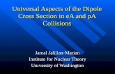 Universal Aspects of the Dipole Cross Section in eA and pA Collisions