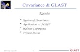 Covariance & GLAST