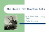 The Quest for Quantum Ants