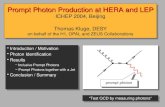 Introduction / Motivation  Photon Identification  Results   Inclusive Prompt Photons