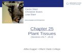 Chapter 25 Plant Tissues (Sections 25.7 - 25.9)