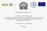 MoZaZiMa presentation  to 19 th COS-coton Meeting and