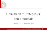 Results on  24,25,26 Mg(n, g )  and proposals Lisboa, 13-15 December 2011