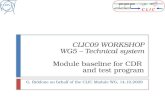 CLIC09 WORKSHOP WG5 – Technical system Module baseline for CDR  and test program