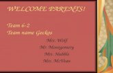 WELCOME PARENTS! Team 6-2 Team name Geckos