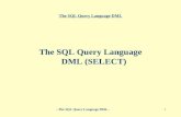 The SQL Query Language DML