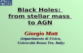 Black Holes:  from stellar mass  to AGN