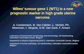 Wilms’ tumour gene 1 (WT1) is a new prognostic marker in high grade uterine sarcoma