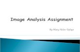 Image Analysis Assignment