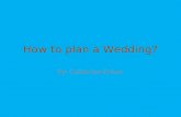 How to plan a Wedding?