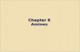 Chapter 8 Amines