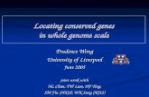 Locating conserved genes in whole genome scale