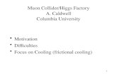 Muon Collider/Higgs Factory A. Caldwell Columbia University