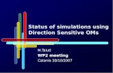Status of simulations using Direction Sensitive OMs