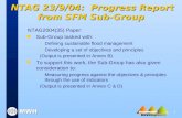 NTAG 23/9/04:  Progress Report from SFM Sub-Group