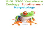 BIOL 3300 Vertebrate Zoology:  Ectotherms  -  Herpetology