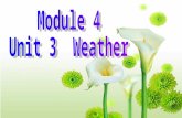 Module 4  Unit 3  Weather