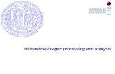 Biomedical images processing and analysis
