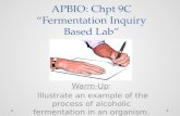 APBIO:  Chpt  9C “Fermentation Inquiry Based Lab”