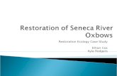 Restoration of Seneca River Oxbows