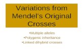 Variations from Mendel’s Original Crosses