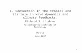 1. Convection in the tropics and its role in wave dynamics and climate feedbacks.