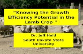 “Knowing the Growth Efficiency Potential in the Lamb Crop ”