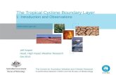 The Tropical Cyclone Boundary Layer 1: Introduction and Observations