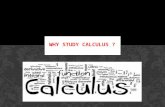 Why study Calculus ?