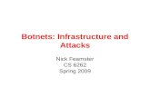 Botnets: Infrastructure and Attacks