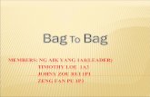 Bag  To  Bag