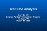 IceCube analysis