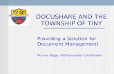 DOCUSHARE AND THE TOWNSHIP OF TINY