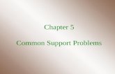 Chapter 5 Common Support Problems