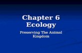 Chapter 6 Ecology