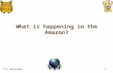 What is happening in the Amazon?