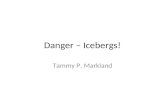 Danger – Icebergs!