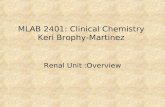 MLAB 2401: Clinical Chemistry  Keri Brophy-Martinez