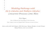 Modeling Pathways with  the  p -Calculus and Ambient Calculus:  Concurrent Processes Come Alive