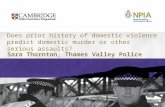 Does prior history of domestic violence predict domestic murder or other serious assaults?