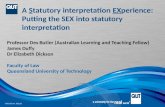 A  S tatutory interpretation  EX perience: Putting the SEX into statutory interpretation