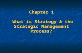 Chapter 1  What is Strategy & the Strategic Management Process?