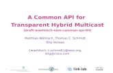 A Common API for  Transparent Hybrid Multicast ( draft-waehlisch-sam-common-api-04)