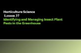 Horticulture Science Lesson 37 Identifying and Managing Insect Plant Pests in the Greenhouse