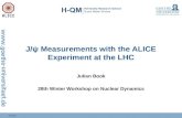 J/ψ Measurements with the ALICE Experiment at the LHC
