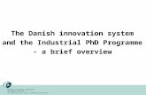 The Danish innovation system and the Industrial PhD Programme - a brief overview