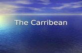 The Carribean